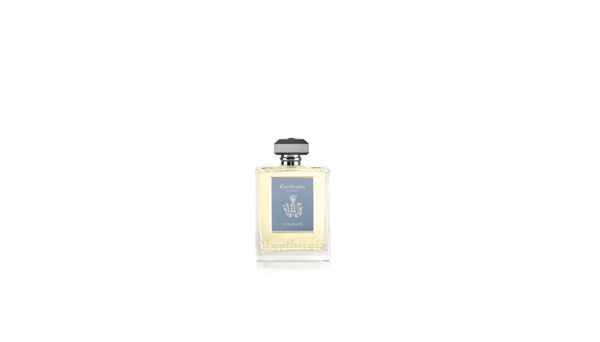 Diffuser Corallium - Image 3